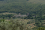 Le strade dell'olio e del Vino